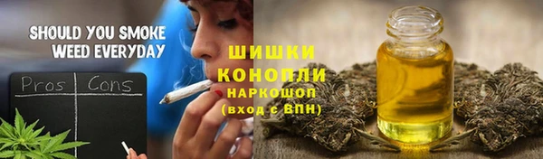молекула духа Приозерск