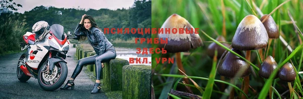 прущая мука Белокуриха