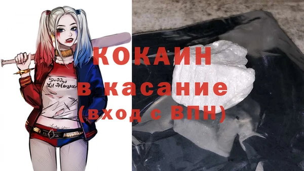 мдпв Дмитриев