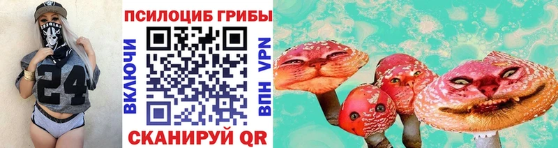 где купить наркоту  площадка официальный сайт  Псилоцибиновые грибы MAGIC MUSHROOMS  Чулым 