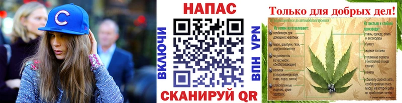 Конопля планчик  Чулым 